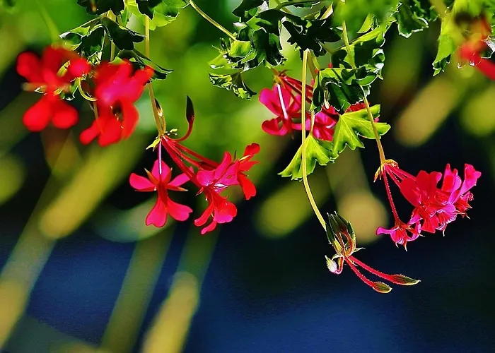 Meilleures options d'hébergement à Labeaume