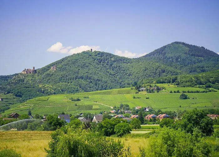 Meilleurs Hôtels de Charme à Ribeauvillé